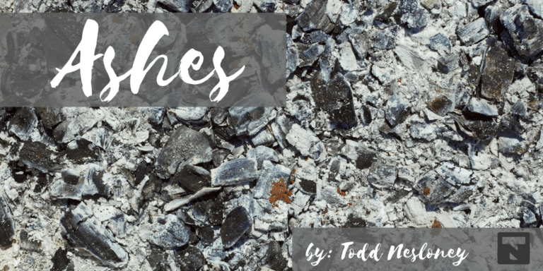 Ashes #TellYourStory